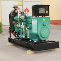 4 cilindros de água de resfriamento de água Conjunto de gasenerator aberto 30kW